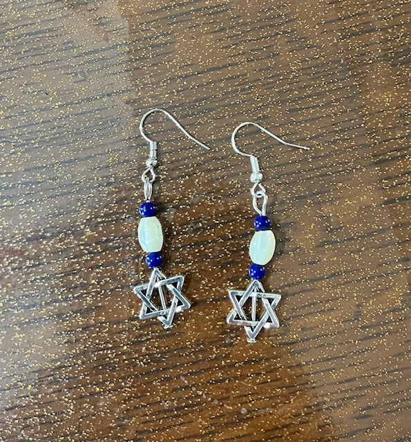 
                      
                        Chanuka / Jewish Dangle Earrings
                      
                    